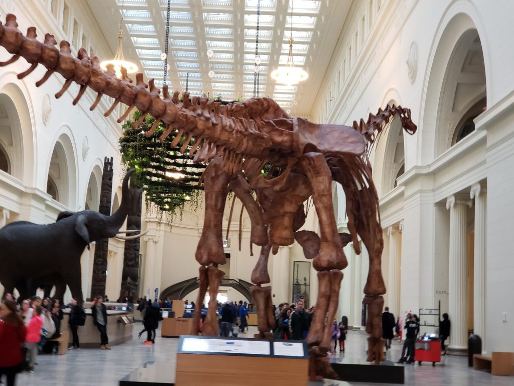 The Chicago Field Museum Sonlight Tours