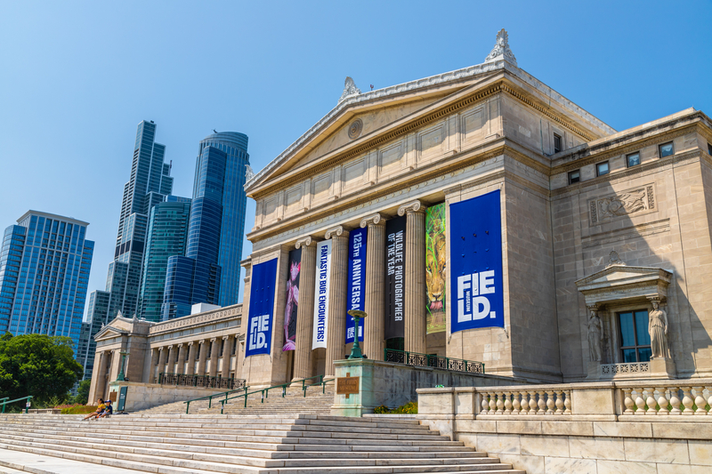 The Chicago Field Museum Sonlight Tours